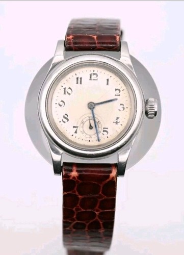 Antique oyster junior - oyster, sport
