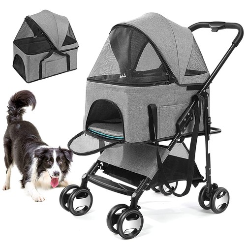 Large pet dog - large,