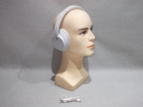 Sony ch720n noise - sony,