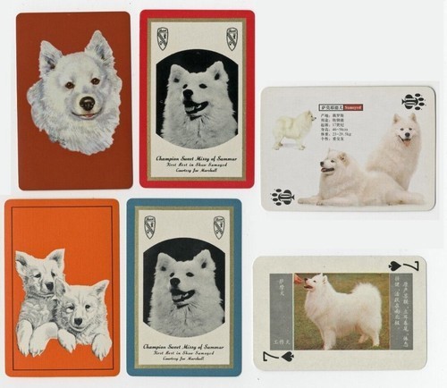 Samoyed vintage collectable - samoyed,