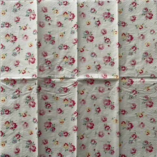 Paper napkins 21x21cm for - napkins,