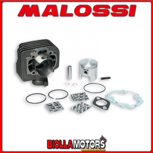 317137 malossi cylinder 65cc - malossi,