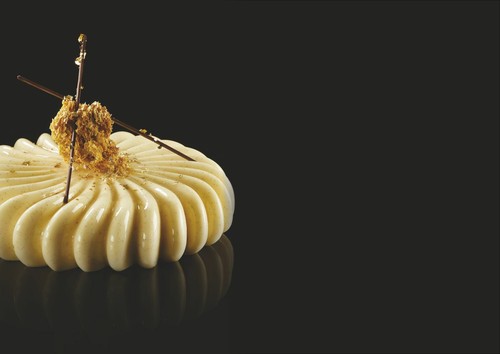 Pavoni modern cake - cake, silicone