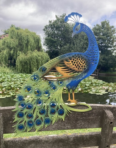 Coloured metal peacock - peacock, fence
