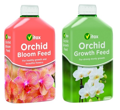 Orchid bloom feed - orchid,