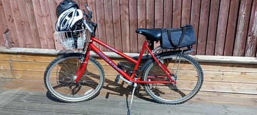 Pair raleigh max - pair, bicycles