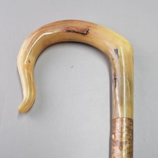 Rams Horn Walking Stick on