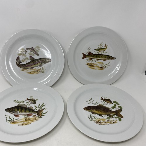 Dinner plates fish - dinner, 9.5”