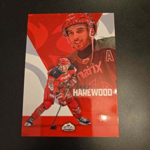 Bayley harewood poster series - poster,