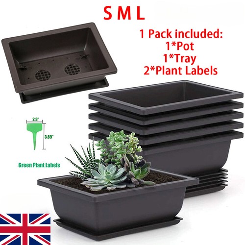 Plastic bonsai training - plastic,
