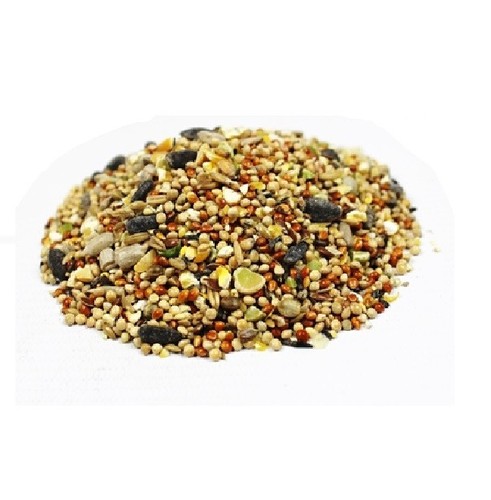 Wild bird seed - bird,