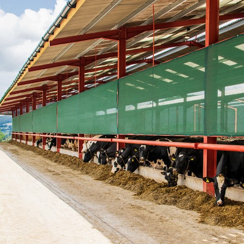 Mesh livestock panels 2 - livestock,