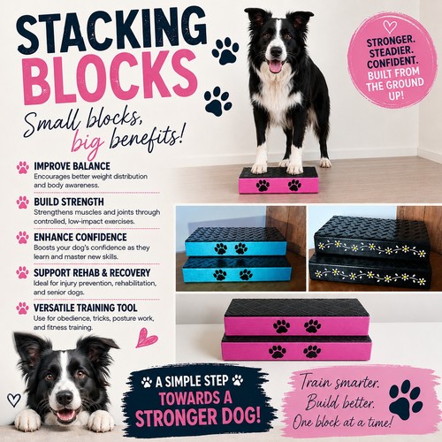 Dog training stacking blocks - training,