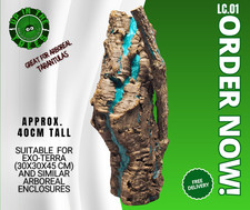 Cork Bark tarantula arboreal enclosure