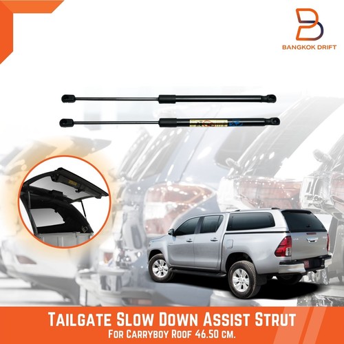 Rear tailgate assist slow down - rear,