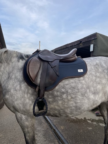 Omega 17inch brown jump saddle - omega,