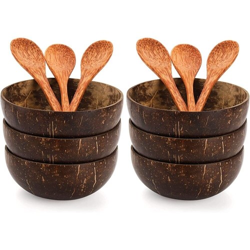 Natural coconut bowls reusable - natural,