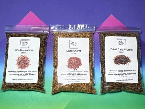 Insect treat pack for - , giant