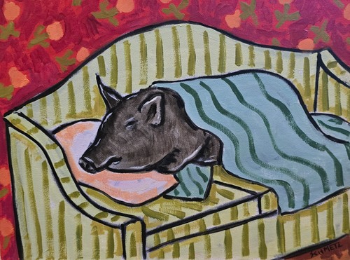Sleeping pot belly pig - sleeping,