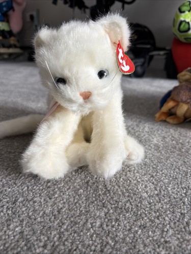Classic beanie cat - ty,