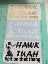 Hawk Tuah Spit On That Thang Funny Car Sticker