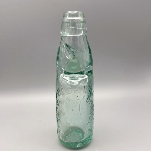 Codd neck aqua - neck,