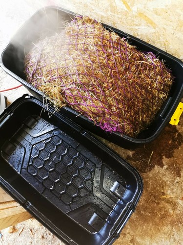 Horse hay steamer affordable - horse,