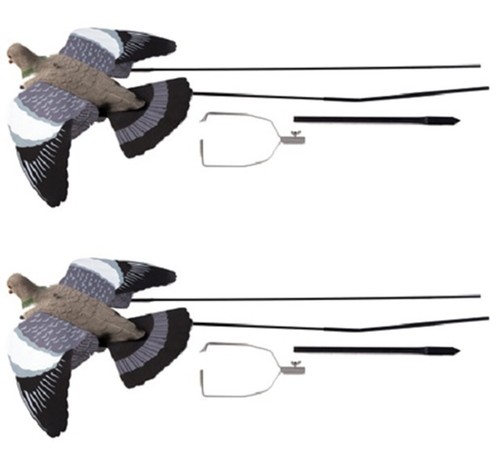Ultimate flying pigeon - 2, x