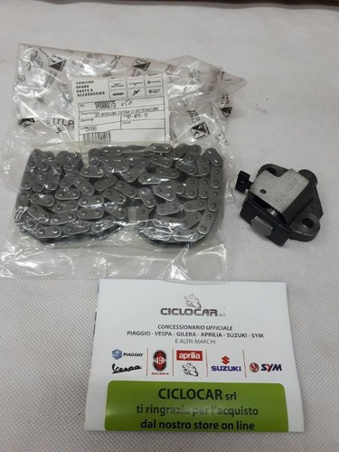 Timing chain and tensioner - timing,