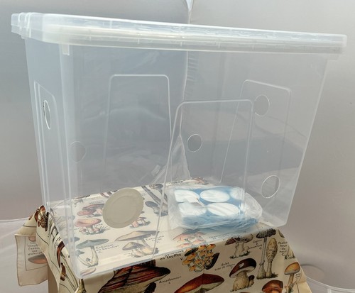 Monotub 80l empty - empty, mushroom