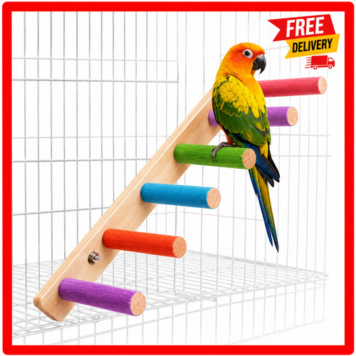 Wooden bird climbing ladder - climbing,