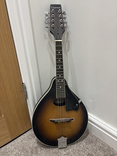 Tanglewood mandolin twmo - mandolin, vs