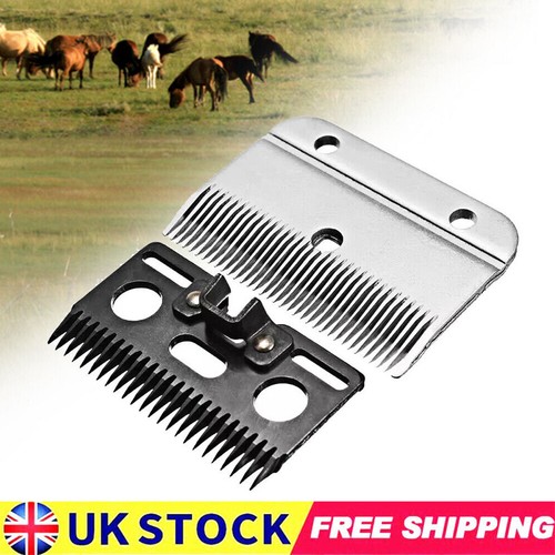 Heavy duty medium - heavy-duty, horse