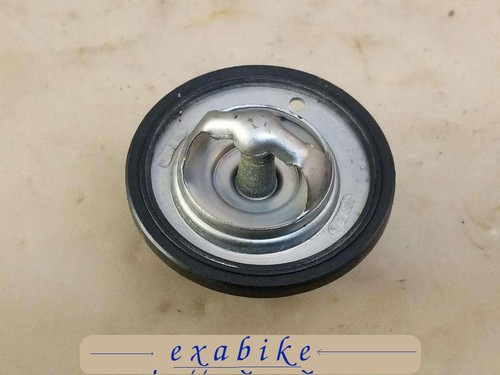 Thermostatic valve for yamaha - valve,