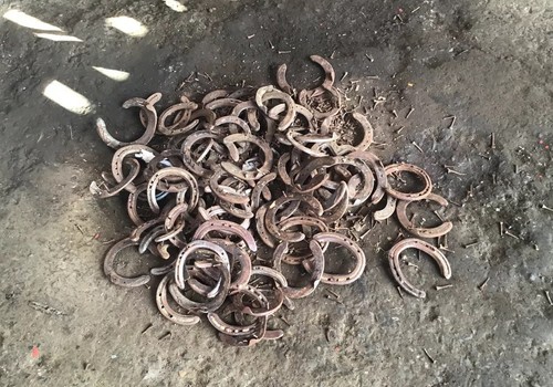 X real horse shoe - x,