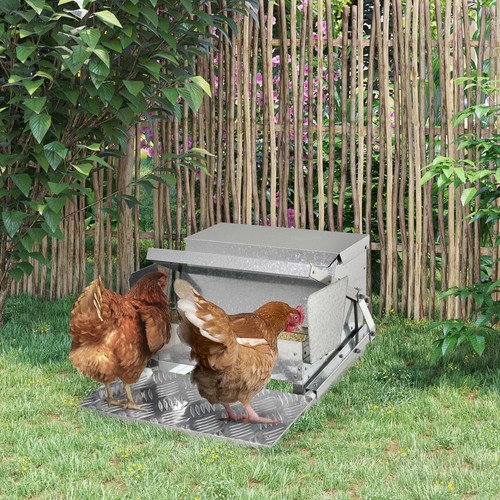Pawhut automatic chicken - pawhut,