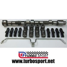 Ford Pinto camshaft HT1E profile race Cam kit from new cam blank