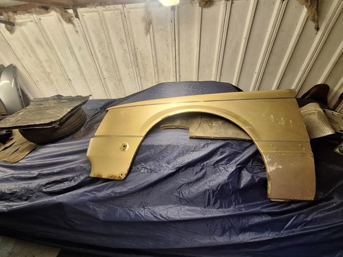 Front wing fender left side - front,