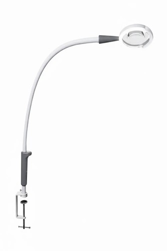Daylightmagnificent pro - daylightmagnificent,