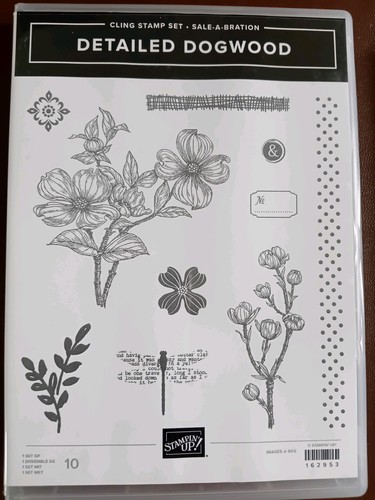 Detailed dogwood stampin - detailed, up