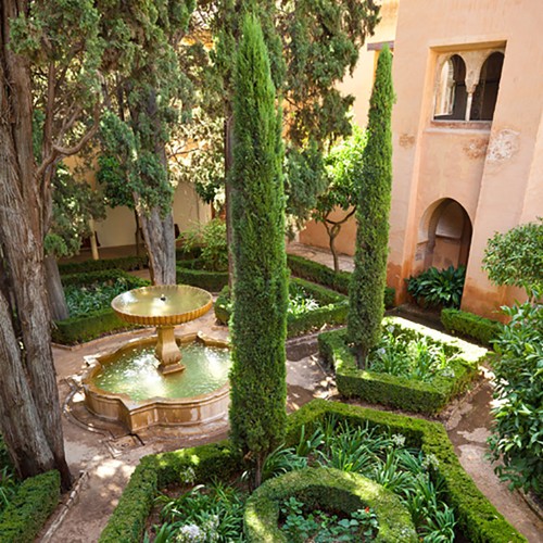 Evergreen trees italian - trees,,