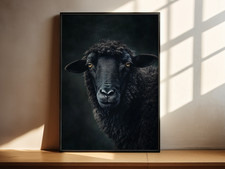 Black Sheep Portrait Print