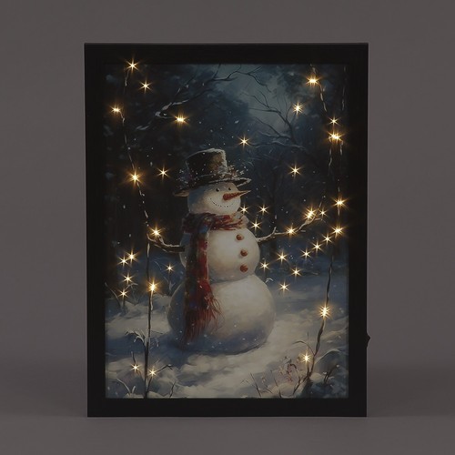 Snowtime fibre optic framed - snowtime,