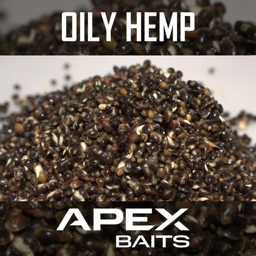 Cooked oily hemp seed high - hemp,