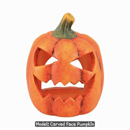 Carved face pumpkin - carved, halloween