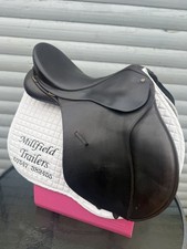 16.5 Brown Bates Caprilli