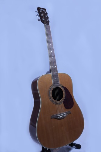 Vintage v400 acoustic guitar - v400,
