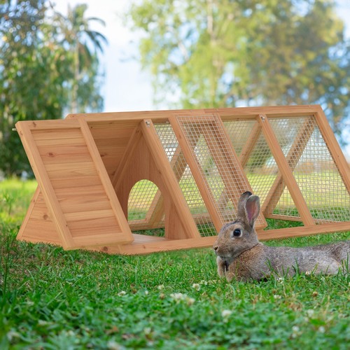 Rabbit hutch small chicken - rabbit, hutch,
