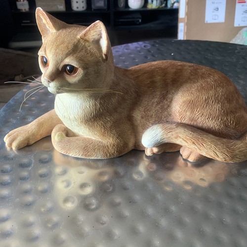 Border fine arts cats - border,