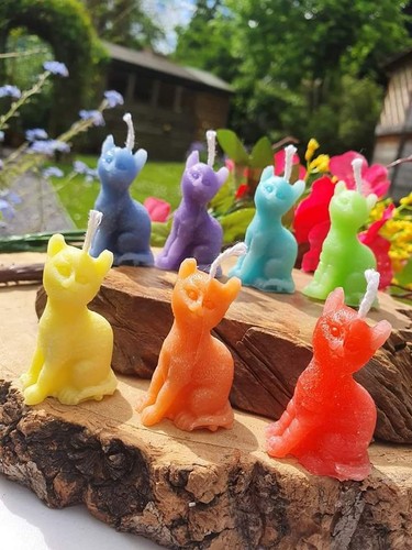 Magic cat spell candle - cat,